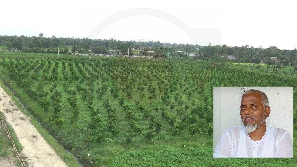 নবীনগরে শিল্পপতি রিপন মুন্সির স্বপ্নের ফার্মে ঘুরে দাঁড়ালো ৫০০ অসহায় পরিবার