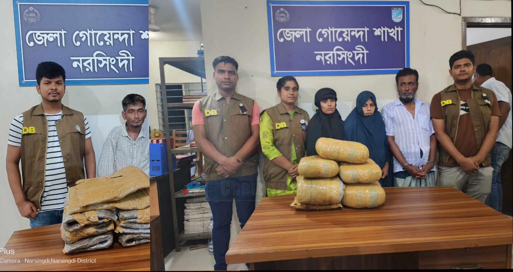 নরসিংদীতে ডিবির পৃথক অভিযানে ২০ কেজি গাঁজা উদ্ধার, আটক-৪