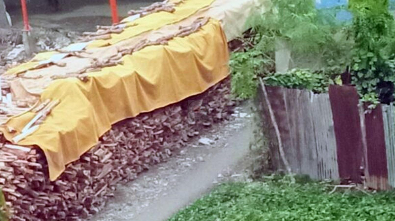 প্রান্ত চেয়ারম্যানের নিকটাত্বীয় বলে কথা। বোর্ড মিলে কাঠ পুড়িয়ে পরিবেশ দুষণের অভিযোগ