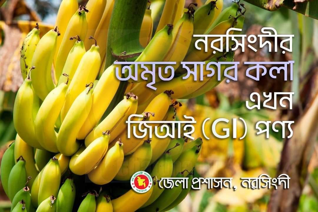 Ogil mast otani eydi